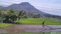Perjalanan menggunakan kereta ini bisa traveler mulai dari Stasiun Bandung menuju Cibatu Garut memakan waktu sekitar 1,5 jam. Panorama alam sepanjangan perjalanan bisa dinikmati dalam perjalanan kereta pagi hingga siang hari (Mukhlis Dinillah/detikTravel) 