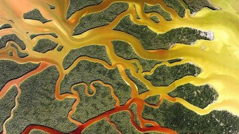 Everglades National Park, Florida. Foto: Evo.ru