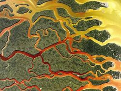 Deretan Citra Satelit Bumi yang Bikin Mata Terpukau