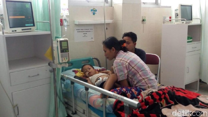 Ponorogo Catatkan 356 Kasus DBD dan 2 Meninggal di Tahun 2018