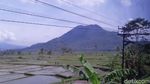 Ijo Royo-royo Jalur Kereta Jabar Selatan