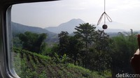 Inilah pemandangan yang amat meneduhkan yang terlihat disepanjang perjalanan dari Stasiun Bandung menuju Stasiun Cibatu Garut (Mukhlis Dinillah/detikTravel) 