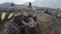 Para penduduk lokal menggunakan alat angkut yang menyerupai gerobak untuk mengangkut para pendaki. Sesungguhnya mereka sehari-hari bekerja sebagai penambang belerang di sekitar kawasan Gunung Ijen. Mereka pun membuka jasa taksi untuk mencari uang tambahan saat belerang sedikit atau kawasan tambang diliburkan.