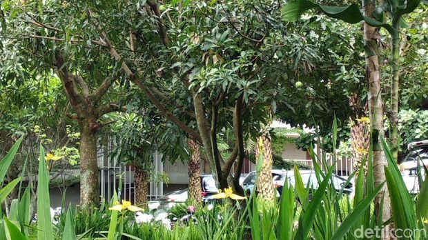 Sudah Sebulan Adik Emil Dardak Tolak Kamar Kos Dibersihkan