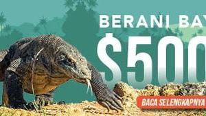 Komodo untuk Rakyat