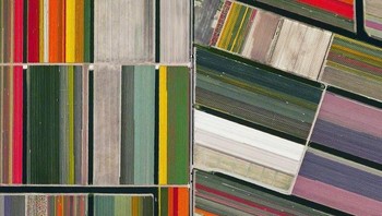 Perkebunan tulip di Lisse, Belanda. Foto: Evo.ru