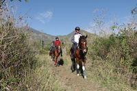 Serunya Berkuda dengan Pemandangan Gunung Arjuna di Jatim