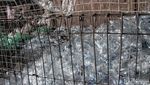 Industri Daur Ulang untuk Atasi Masalah Sampah Plastik