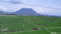 Rencananya pemerintah mengaktifkan kembali jalur-jalur mati di wilayah selatan. Kendati memiliki panorama alam yang indah, jalur-jalur kereta di wilayah selatan juga punya ancaman bencana alam (Mukhlis Dinillah/detikTravel) 