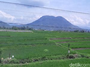 Studi: Berada Dua Jam di Tengah Alam Bisa Menyehatkan Mental