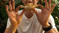 Coba tebak makanan apa yang akan dilahap Harry kali ini? Ya, tamale! Tamale merupakan hidangan tradisional Meksiko. Terbuat dari daging cincang, keju, sayuran, paprika dan dibungkus dengan daun jagung lalu dikukus. Foto: Instagram harryshumjr