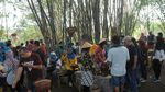 Yuk Nikmati Wisata Pasar di Tengah Kebun Bambu