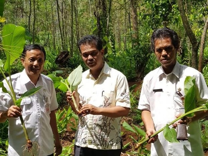 Kementan Dorong Petani Manfaatkan Lahan Untuk Tanaman Herbal