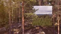 Sisi bawahnya berlapis alumunium, sedangkan dinding luar berlapis kaca yang memantulkan objek di sekelilingnya. Sehingga, jika dilihat sekilas, seperti tidak ada kamar hotel di sana (Treehotel)
