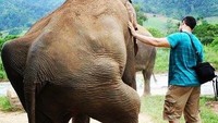 Saat berada di Elephant Nature Park di Thailand. (dr.evanantin/Instagram)