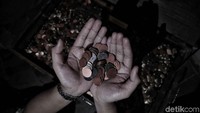 Sejumlah koin lama juga dipamerkan.