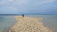 Teluk Saleh adalah kawasan perairan di Samota. Salah satu yang unik adalah Takat Sagale, pulau pasir yang muncul saat laut surut (Dwi Widyastuti/dTraveler)