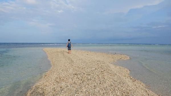 Teluk Saleh adalah kawasan perairan di Samota. Salah satu yang unik adalah Takat Sagale, pulau pasir yang muncul saat laut surut (Dwi Widyastuti/dTraveler) Teluk Saleh adalah kawasan perairan di Samota. Salah satu yang unik adalah Takat Sagale, pulau pasir yang muncul saat laut surut (Dwi Widyastuti/dTraveler)