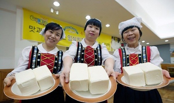 Kota Imsil dimana taman rekreasi serba keju ini berada memang terkenal akan kejunya. Imsil merupakan daerah penghasil keju pertama di Korea. Keju pertama kali dibuat di Imsil pada tahun 1950-an. (dok. Korea Tourism Organization) Kota Imsil dimana taman rekreasi serba keju ini berada memang terkenal akan kejunya. Imsil merupakan daerah penghasil keju pertama di Korea. Keju pertama kali dibuat di Imsil pada tahun 1950-an. (dok. Korea Tourism Organization)