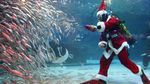 Sambut Natal, Sinterklas Berenang Bersama Ribuan Ikan di Korsel