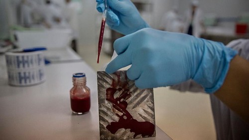 GUANGZHOU, CHINA - JUNE 20:  Chinese Phd student and researcher Zhang Dongjing displays a container of sterile adult male mosquitos that are ready to be released in a lab in the Mass Production Facility at the Sun Yat-Sen University-Michigan University Joint Center of Vector Control for Tropical Disease on June 20, 2016 in Guangzhou, China. Considered the worlds largest mosquito factory, the laboratory raises millions of male mosquitos for research that could prove key to the race to prevent the spread of Zika virus. The labs mosquitos are infected with a strain of Wolbachia pipientis, a common bacterium shown to inhibit Zika and related viruses including dengue fever.Â Researchers release the infected mosquitos at nearby Shazai island to mate with wild females who then inherit the Wolbachia bacterium which prevents the proper fertilization of her eggs. The results so far are hopeful:Â  After a year of research and field trials on the island, the lab claims there is 99% suppression of the population of Aedes albopictus or Asia tiger mosquito, the type known to carry Zika virus. Researchers believe if their method proves successful, it could be applied on a wider scale to eradicate virus-carrying mosquitos in Zika-affected areas around the world. Â The project is an international non-profit collaboration lead by Professor Xi Zhiyong, director of the Sun Yat-Sen University-Michigan University Joint Center of Vector Control for Tropical Disease with support from various levels of Chinas government and other organizations.Â   (Photo by Kevin Frayer/Getty Images)