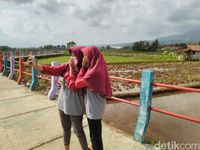 Wisatawan asyik berfoto (Dadang Hermansyah/detikTravel)