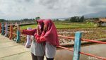 Foto: Jembatan Pelangi di Antara Sawah & Kebun Ciamis