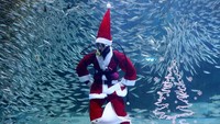 Coex Aquarium merupakan sebuah tempat wisata yang terletak di distrik Gangnam, Seoul, Korea Selatan. Akuarium itu menjadi rumah bagi 40.000 biota laut yang berasal dari berbagai spesies berbeda dan dikumpulkan dari beberapa daerah di dunia.
