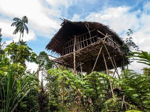 Demi Hindari Iblis, Suku Ini Masih Tinggal di Rumah Pohon