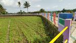 Foto: Jembatan Pelangi di Antara Sawah & Kebun Ciamis
