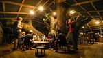 Potret Rumah Pohon Tertinggi Dunia Vs Illegal Logging