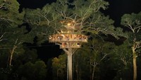 Keuntungan Gibbon Experience dihabiskan untuk berbagai proyek taman, termasuk pendanaan untuk tim patroli taman nasional (Dok. Gibbon Experience) 