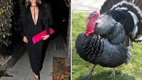Pakai gaun hitam klasik dengan aksen bulu membuat Liz Hurley tampak seperti kalkun. Terlebih ada sentuhan merah dari tas di dekapannya. Mirip nggak? Foto: Istimewa