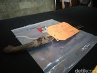 Curi Rokok, 2 Bocah SMP Ciamis Bacok Nenek Pemilik Warung