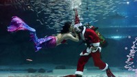 Penampilan dua orang penyelam di Coex Aquarium yang menjadi seorang Sinterklas dan putri duyung dalam pertunjukkan menyambut Natal di Seoul, Korea Selatan.