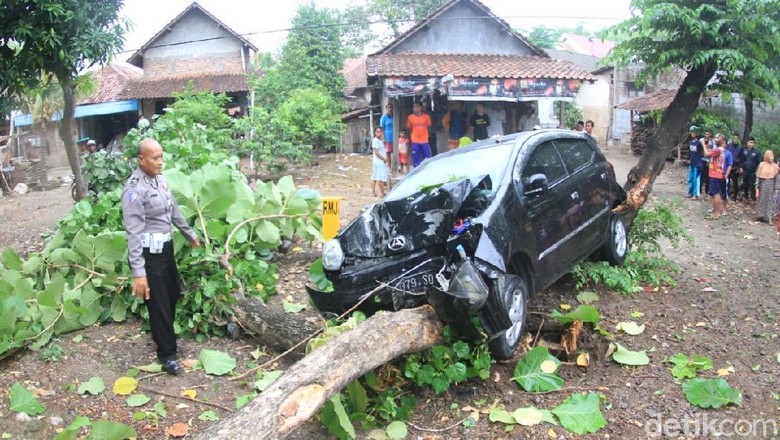 LCGC Ringsek Tabrak Pohon Jati, Sopir Selamat LCGC Ringsek Tabrak Pohon Jati, Sopir Selamat