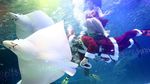 Sambut Natal, Sinterklas Berenang Bersama Ribuan Ikan di Korsel