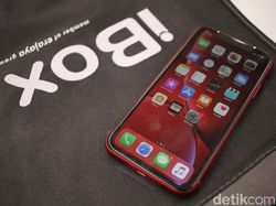Tasya Kamila Semringah Pamerkan iPhone Barunya yang Merah