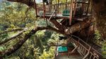 Potret Rumah Pohon Tertinggi Dunia Vs Illegal Logging