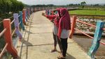 Foto: Jembatan Pelangi di Antara Sawah & Kebun Ciamis