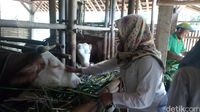 Menyatu dengan Alam di Wisata Kampung Gagot