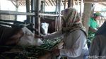 Liburan Akhir Tahun ke Kampung Wisata Gagot di Banjarnegara