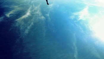 Foto: via Bored Panda