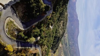 Foto: via Bored Panda