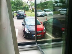 Kumpulan Foto Refleksi yang Menawan Hingga Menggelikan