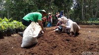 Di sini, wisatawan benar-benar menyatu dengan alam. Bahkan, mereka bisa belajar langsung seputar dunia pertanian, peternakan hingga perikanan. (Uje Hartono/detikTravel)