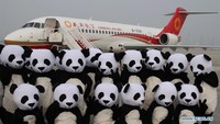 Rencananya dari 2021 hingga 2035, China akan secara komprehensif meningkatkan kekuatan industri penerbangan sipilnya untuk tidak hanya memimpin dalam transportasi udara, tetapi juga memiliki maskapai penerbangan paling kompetitif di dunia. Foto: Dok. Xinhuanet