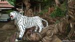 Foto: Pohon Keramat Warisan Pangeran Cakrabuana