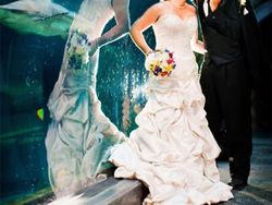 Kumpulan Foto Refleksi yang Menawan Hingga Menggelikan