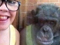 Kumpulan Foto Refleksi yang Menawan Hingga Menggelikan